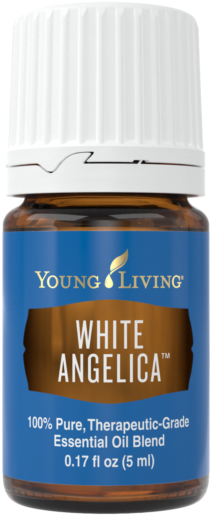 White Angelica